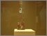 [thumbnail of F:\Gareth Research\Sculpture 2011\Vitrine Waikato Museum\Three Civic Towers 1.jpg]
