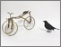 [thumbnail of Blackbird and cycling circa 1870]