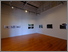 [thumbnail of From Certainty to Doubt installation view 7]