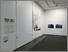 [thumbnail of Indelible_installation_view_2]