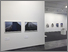 [thumbnail of Indelible_installation_view_4]